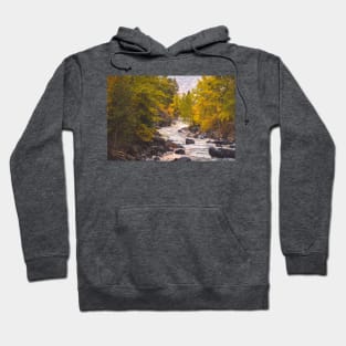 River Through Autumn Forest Hoodie